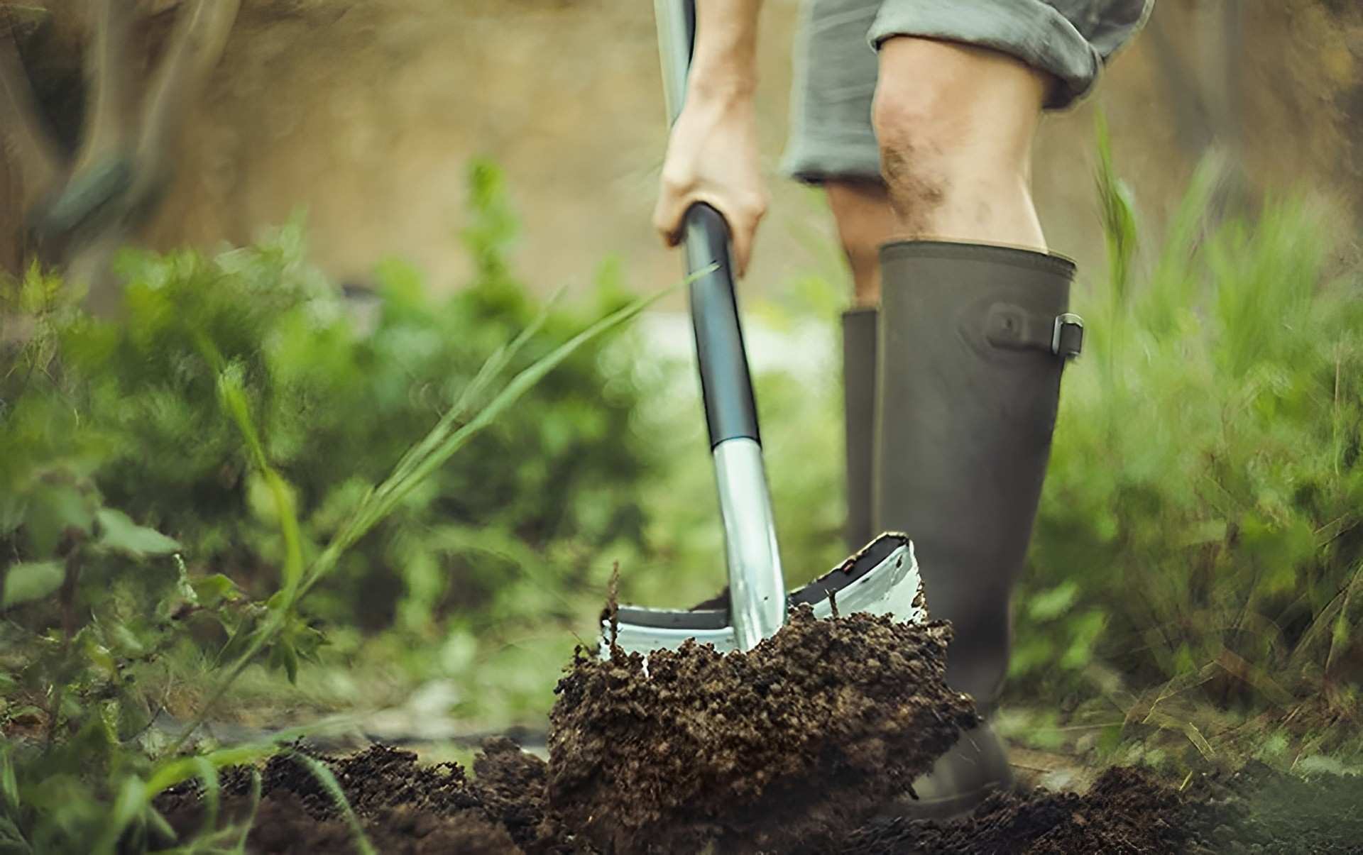 Phân bón hữu cơ nhập khẩu