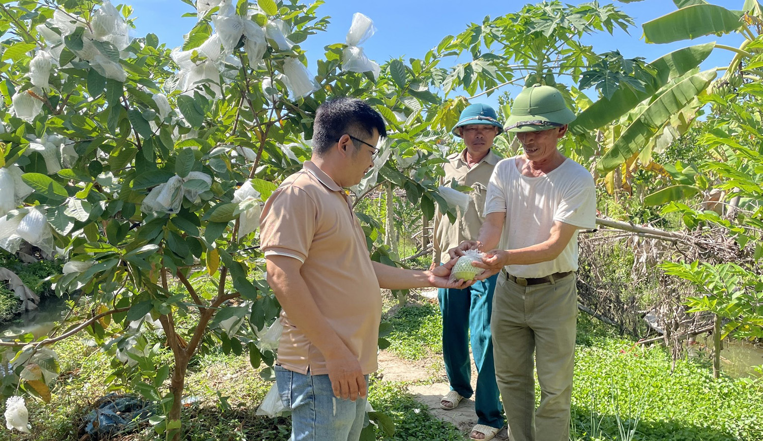 Phân bón hữu cơ nhập khẩu